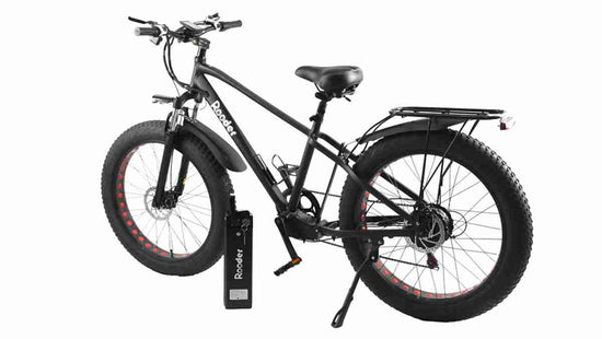 Ebike Design wholesale