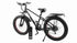 Ebike Design wholesale