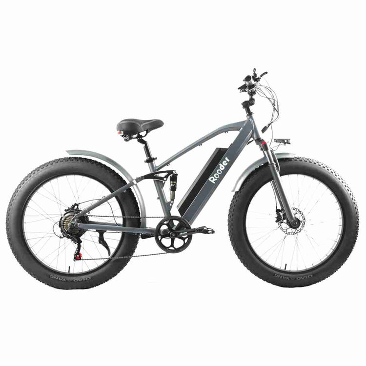 Ebike Snow wholesale