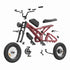 Electric Bike 2024 wholesale