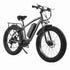 Electric Bike Models wholesale