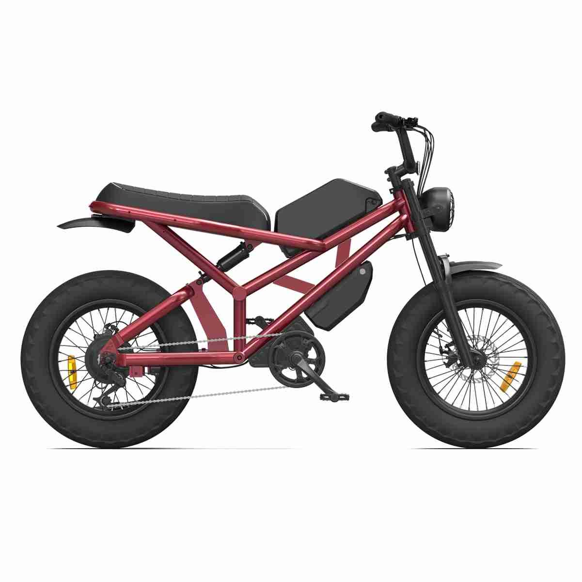 Electric Bike Warehouse wholesale