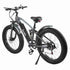Electric Bike With Thick Tires wholesale