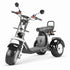 Electric City Coco Scooter wholesale