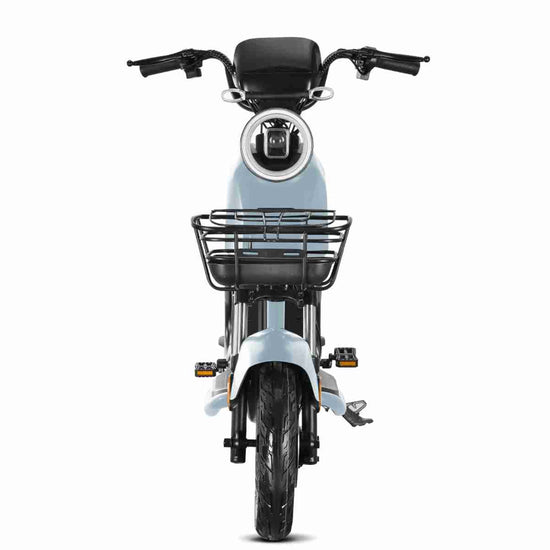 Electric City Coco wholesale