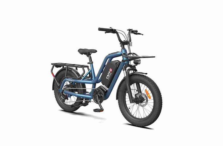 Electric Fat Bike wholesale