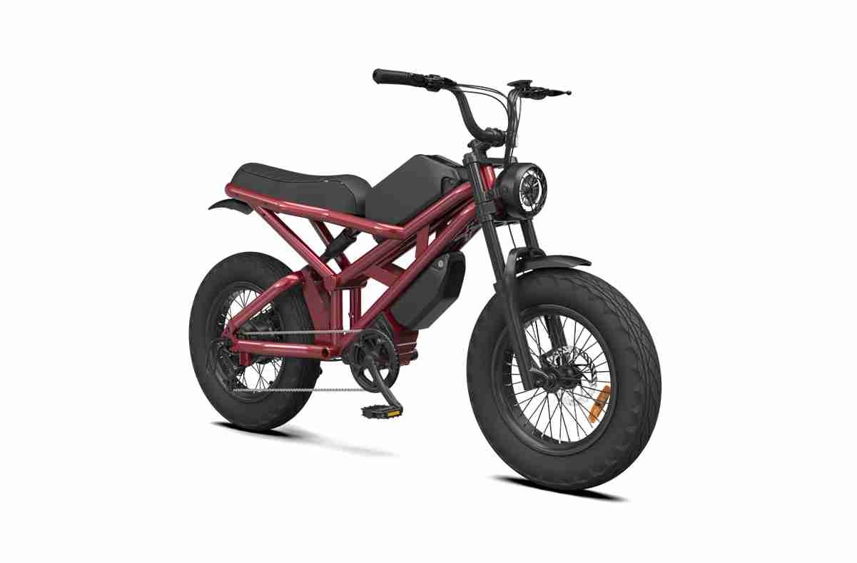 Electric Fat Tire Ebike wholesale