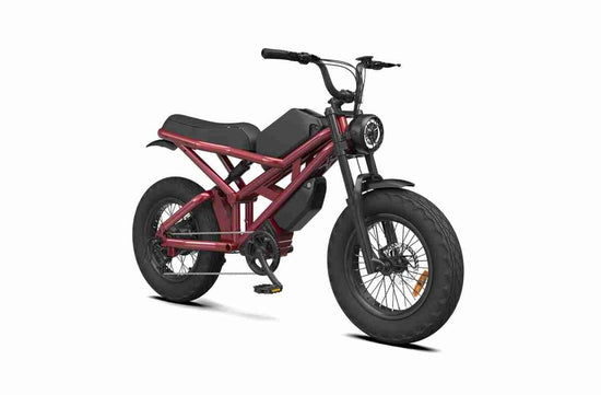 Electric Fat Tire Ebike wholesale