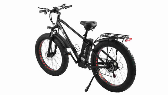 Electric Mountain Bike wholesale