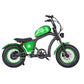Electric Bike Mangosteen FT02 CE EU 25km/h for Adults & Teens for Sale 38