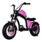 Electric Bike Mangosteen FT02 CE EU 25km/h for Adults & Teens for Sale 15