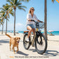 Electric City Bike for Adults, Removable Battery, NFC Lock, Rear Rack