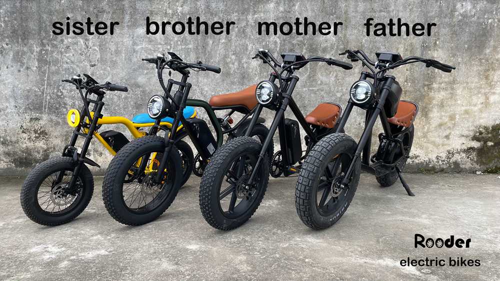 Video laden: Electric Bicycles Manufacturing