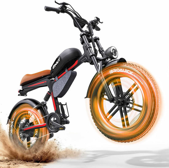 Electric Fat Tire Bike wholesale 1