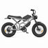 Europed Folding Electric Bike wholesale