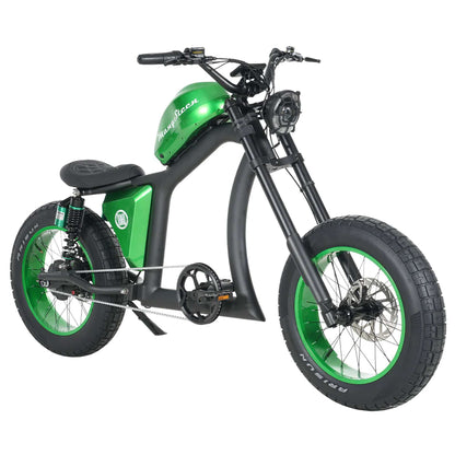 Fat Tire Electric Bike with Aluminum Frame for Adults CE EU for Sale 12
