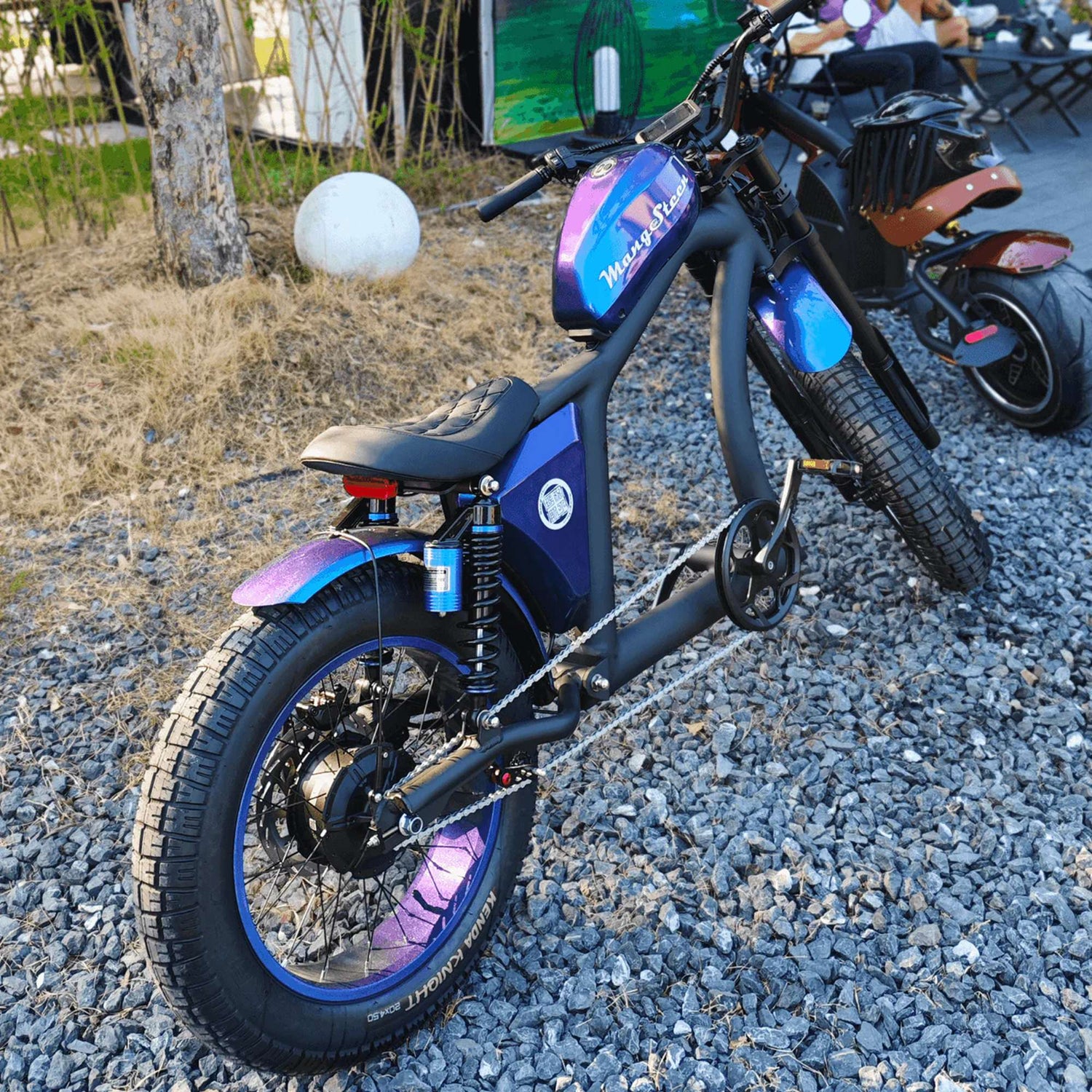 Fat Tire Electric Bike with Aluminum Frame for Adults CE EU for Sale 23