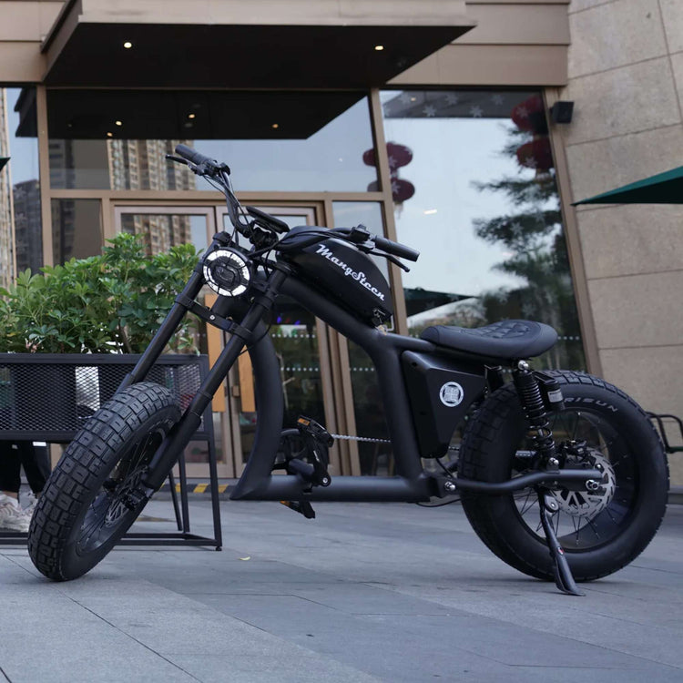 electric bicycle chopper style Fat Tire Electric Bike with Aluminum Frame for Adults CE EU for Sale – RONZLLA
