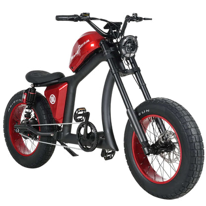 Fat Tire Electric Bike with Aluminum Frame for Adults CE EU for Sale 1