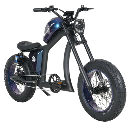 Fat Tire Electric Bike with Aluminum Frame for Adults CE EU for Sale 25