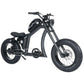 Fat Tire Electric Bike with Aluminum Frame for Adults CE EU for Sale 26