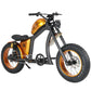 Fat Tire Electric Bike with Aluminum Frame for Adults CE EU for Sale 27