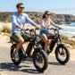 Fatbike eBike RONZLLA X5 - for men and women for sale