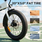 Foldable Electric Bike for Adults | 48V 25MPH | 20" x 3.0" Fat Tire 15