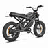 Folding Electric Bike Usa wholesale