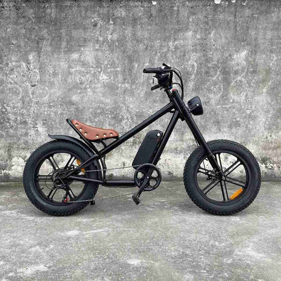 Full Size Folding E Bike wholesale