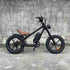 Full Size Folding E Bike wholesale