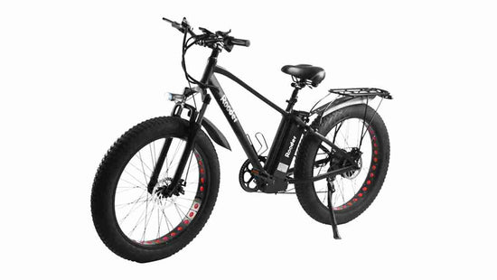 Hybrid Fat Tire Electric Bike wholesale