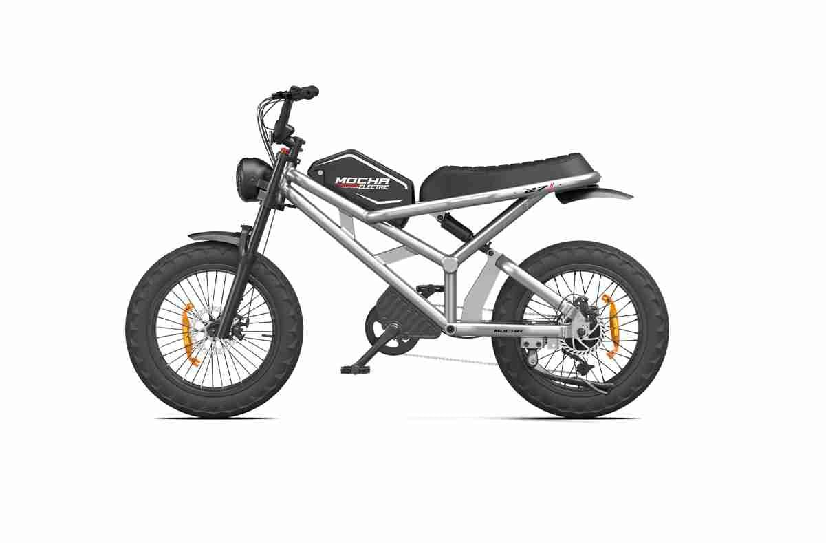 Ladies Electric Bike wholesale