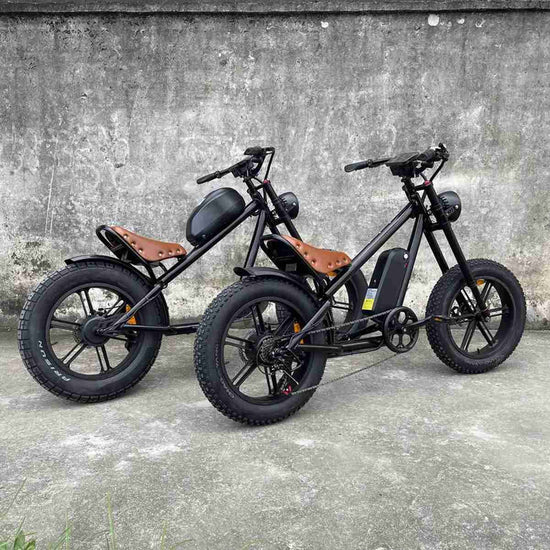 Ladies Folding Electric Bike wholesale