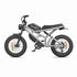 Long Range Electric Bike wholesale