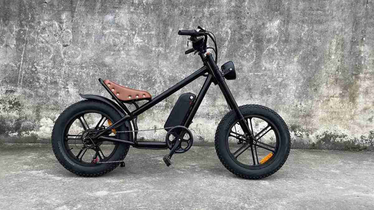 Longest Range Folding Electric Bike wholesale