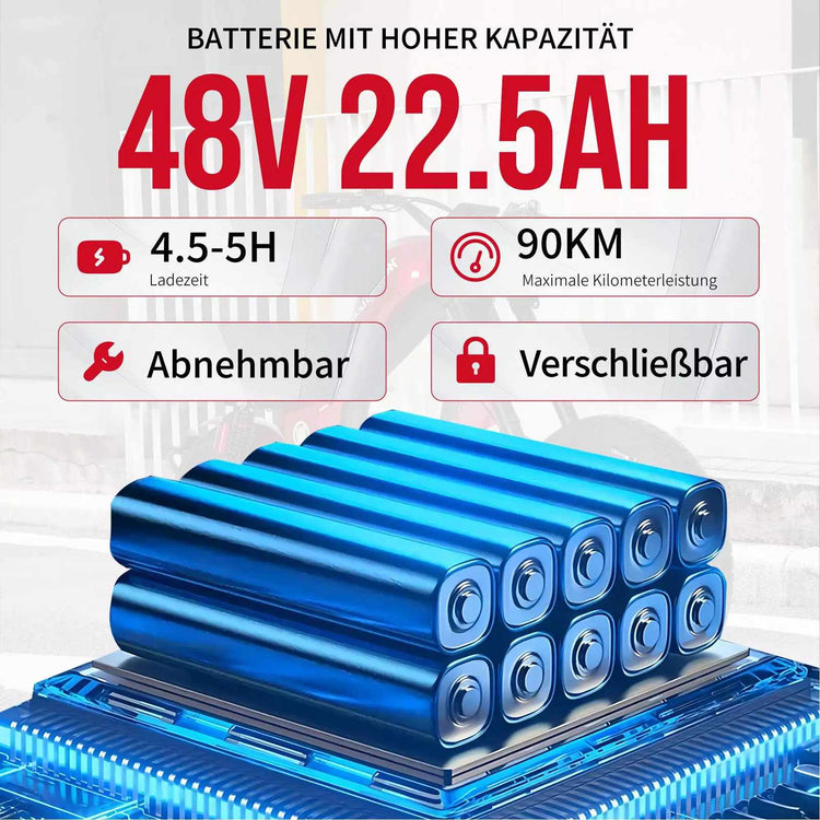 Mangosteen FT02 Chopper E-Bike EEC 48V 22.5Ah – For Sale in Switzerland 16