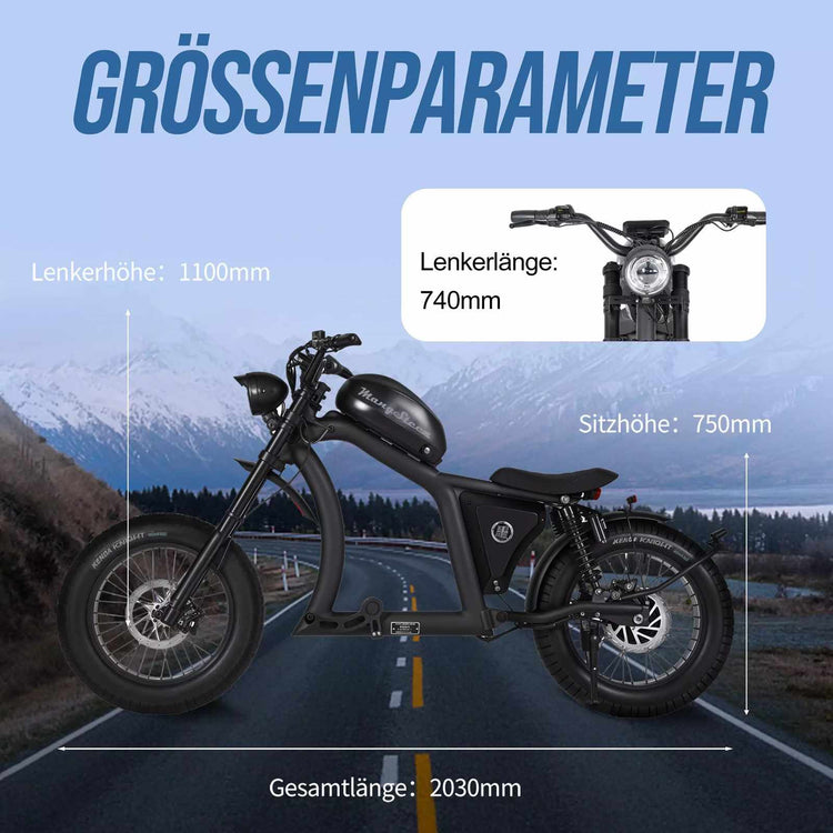 Mangosteen FT02 Chopper E-Bike EEC 48V 22.5Ah – For Sale in Switzerland 19