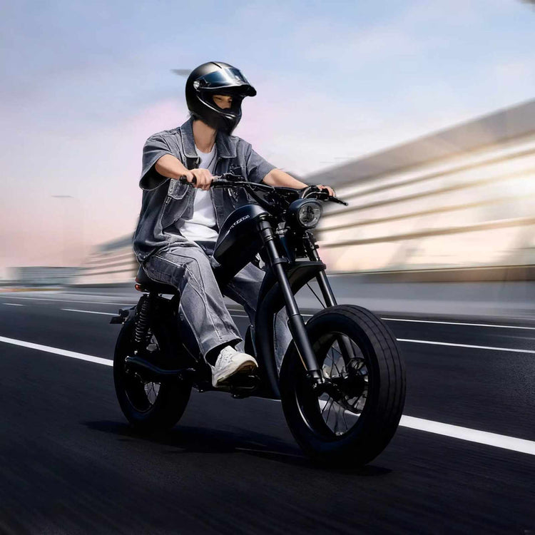 Mangosteen FT02 Chopper E-Bike EEC 48V 22.5Ah – For Sale in Switzerland 21