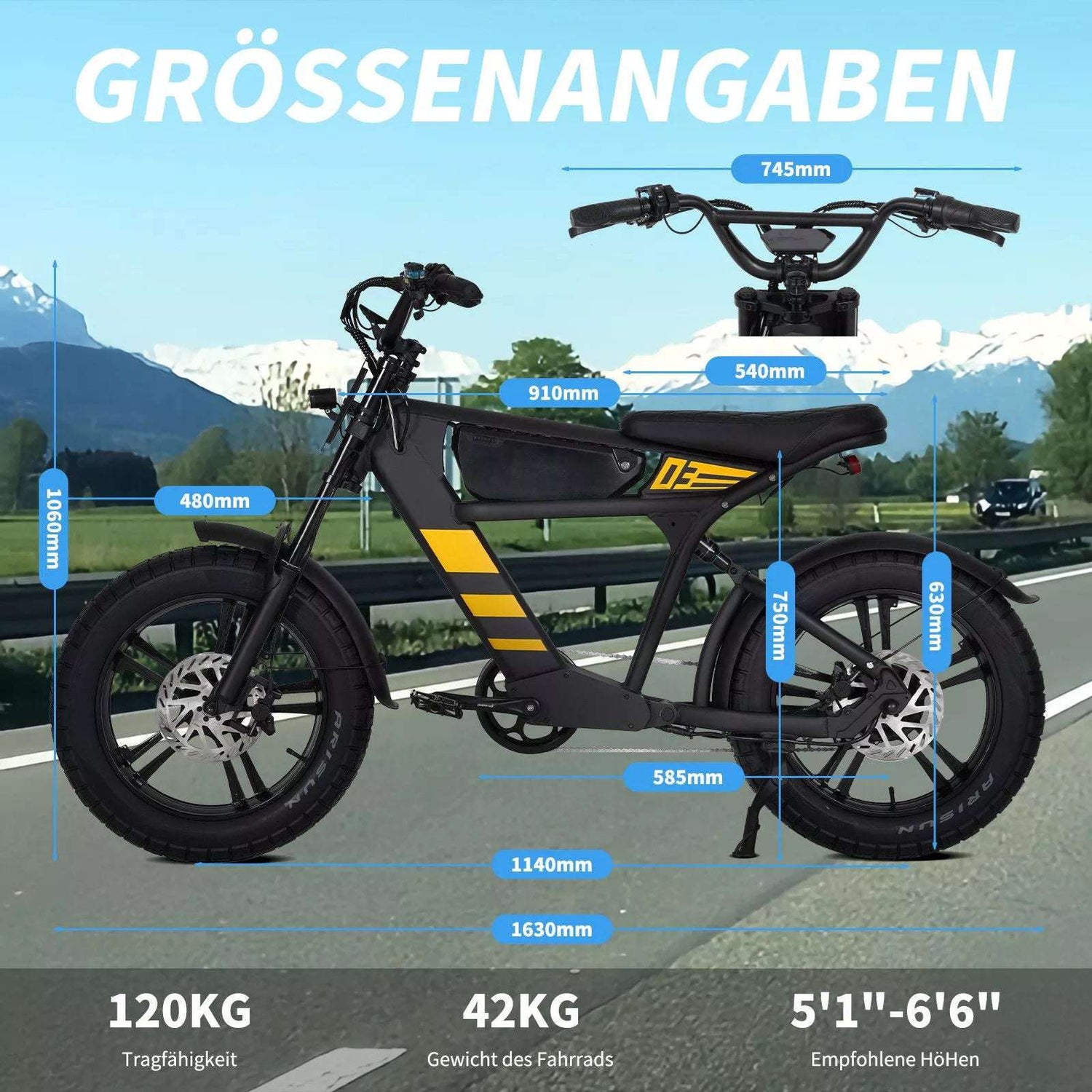 electric bicycle switzerland Mangosteen FT03 E-Bike 250W 25km/h – For Sale in Switzerland – RONZLLA