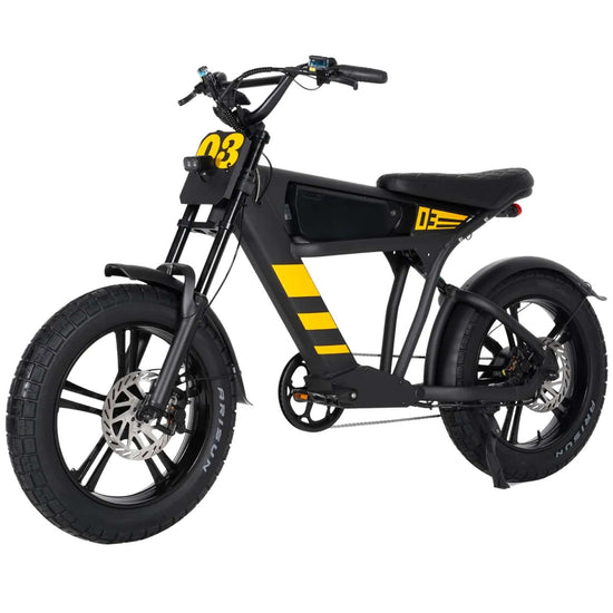 Mangosteen FT03 E-Bike 250W 25km/h – For Sale in Switzerland 12