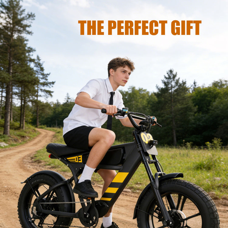 Mangosteen FT03 Fat Tire Electric Bicycle  - the perfect gift