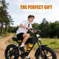 Mangosteen FT03 Fat Tire Electric Bicycle  - the perfect gift