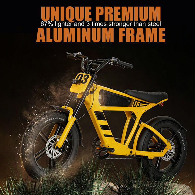 Mangosteen FT03 Fat Tire Electric Bicycle  - aluminium frame