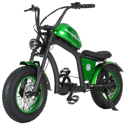 Electric Bike Mangosteen FT02 CE EU 25km/h for Adults & Teens for Sale 1