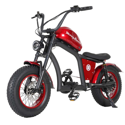 Electric Bike Mangosteen FT02 CE EU 25km/h for Adults & Teens for Sale 16