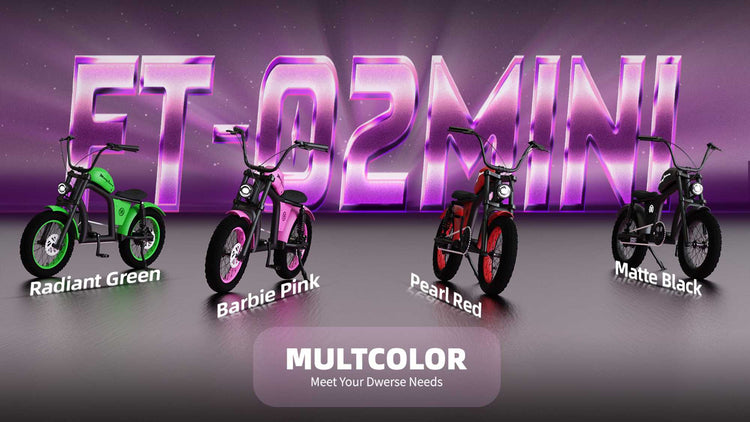 Mini eChopper Bike Mangosteen FT02 250W 25km/h Swiss Version for Sale 23