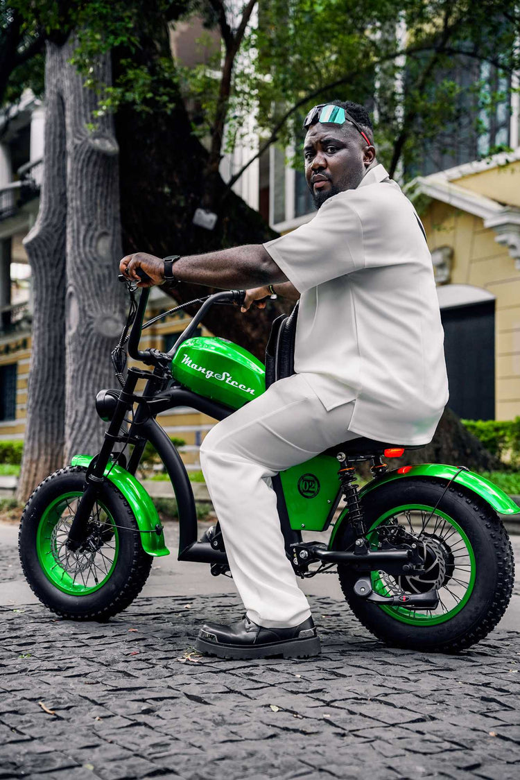 Mini eChopper Bike Mangosteen FT02 250W 25km/h Swiss Version for Sale 26