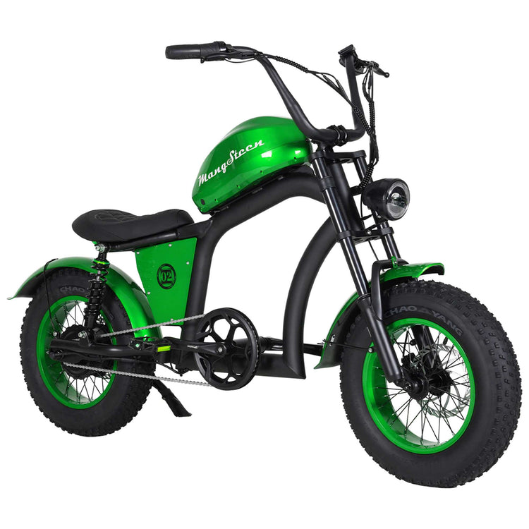 Mini eChopper Bike Mangosteen FT02 250W 25km/h Swiss Version for Sale 28