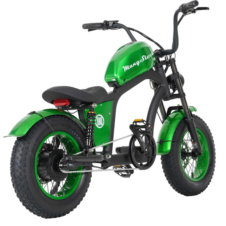Mini eChopper Bike Mangosteen FT02 250W 25km/h Swiss Version for Sale 3